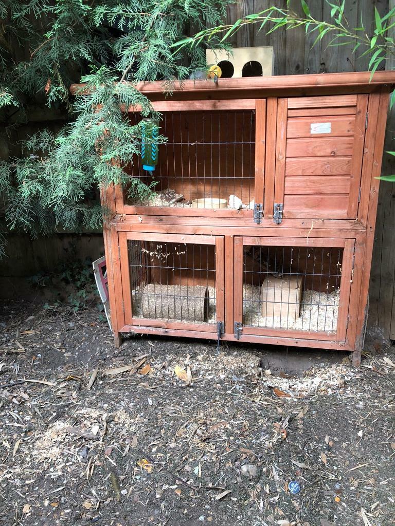 gumtree guinea pig hutch